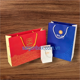  Túi giấy cao cấp 
