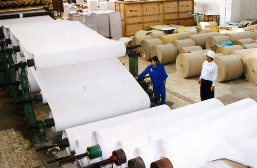 Nguyên liệu sản xuất túi giấy Kraft